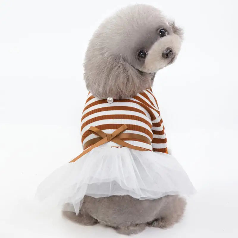 Spring and Summer New Pet Dog Clothes Dress
