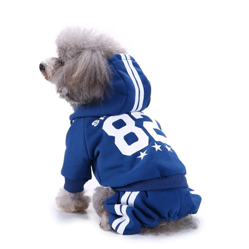 Dog Hoodies for Autumn and Winter Wear