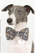 Party Animals Bow Tie