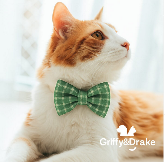 Moss and Meadow Bow Tie